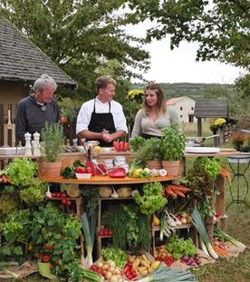 Römersalat mit Garnelen