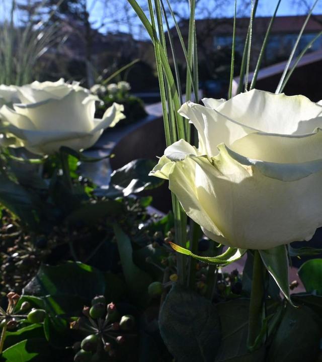 Rosen, Gartenzwerge, Dünger-ABC