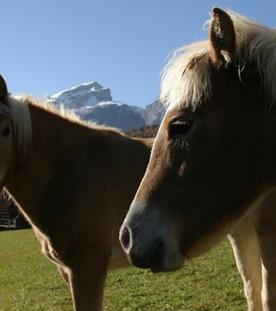 Rund um die Sella - Von Canazei bis Alta Badia (2/2)