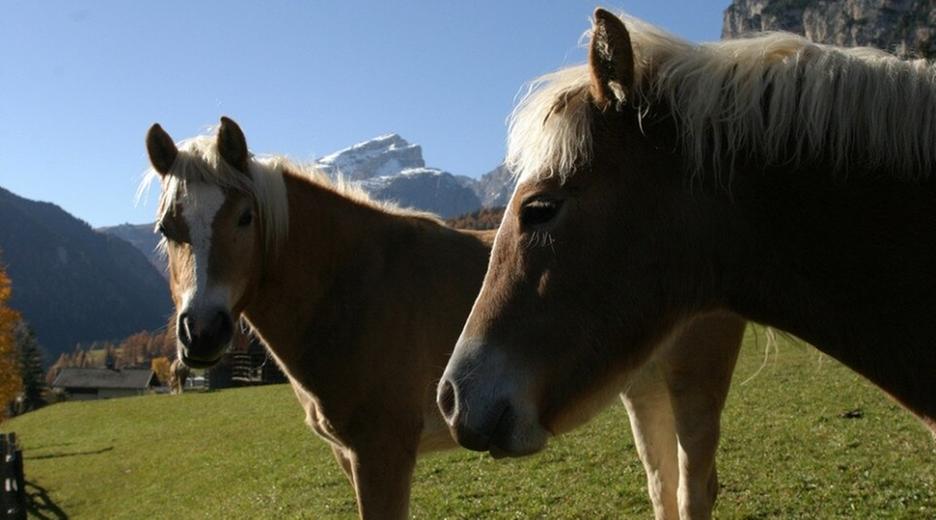 Rund um die Sella - Von Canazei bis Alta Badia (2/2)