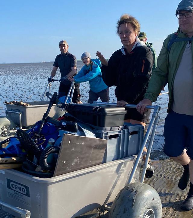 Rungholt - Jäger der verlorenen Kirche - Auf Spurensuche im Watt
