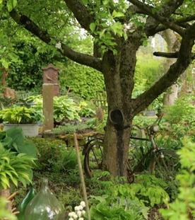 Saar nur! im Garten - Eröffnung der Pflanzensaison