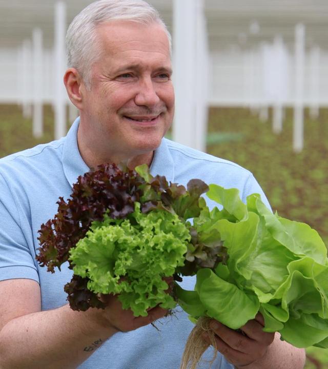 Salate und Bullenmast