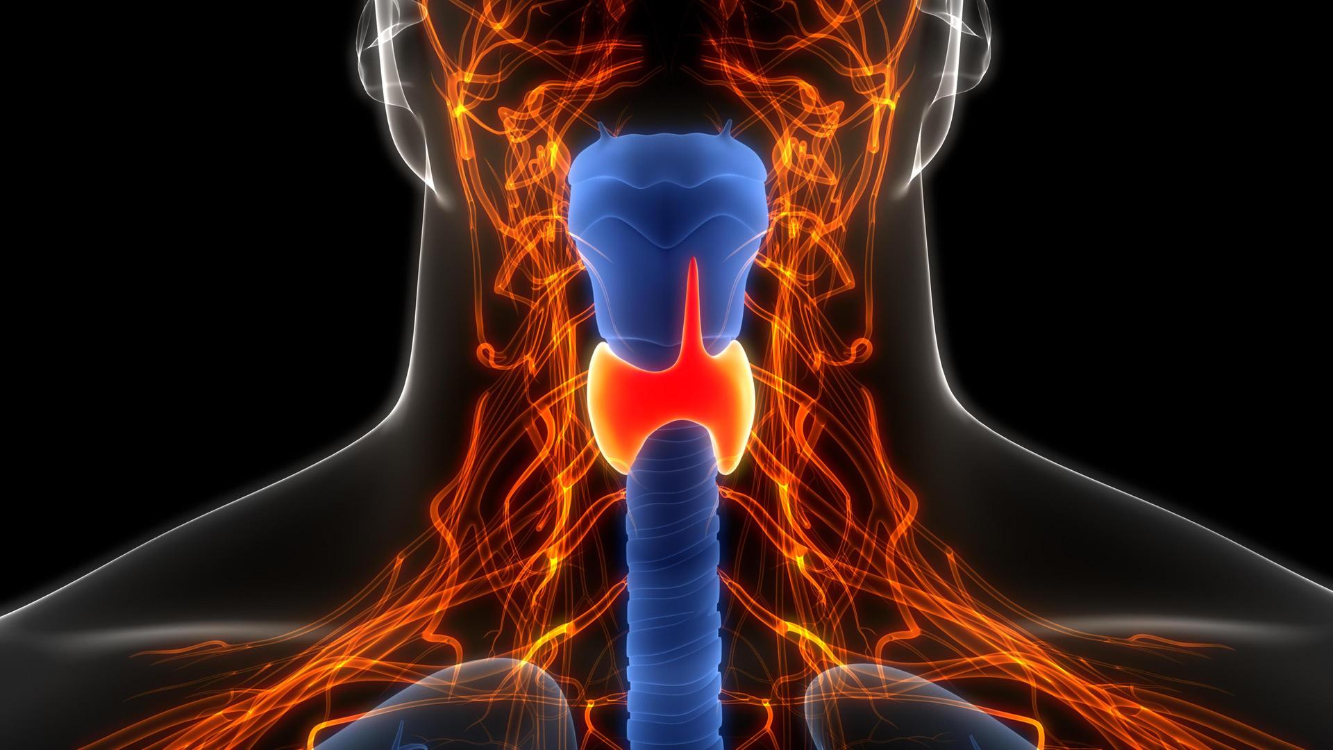 Schilddrüsen-Unterfunktion, gesundes Lachen, Acro-Yoga