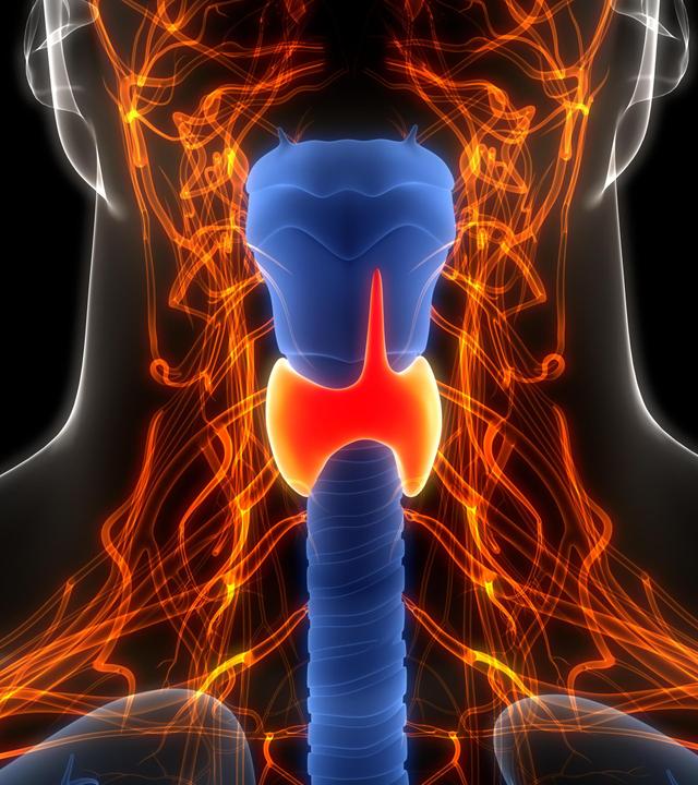 Schilddrüsen-Unterfunktion, gesundes Lachen, Acro-Yoga