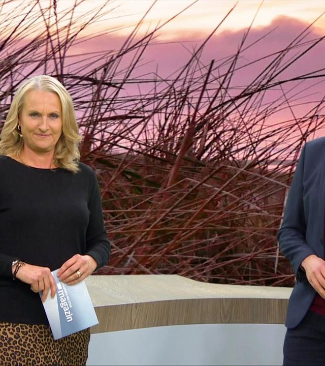 Schleswig-Holstein Magazin - 13.11.2024