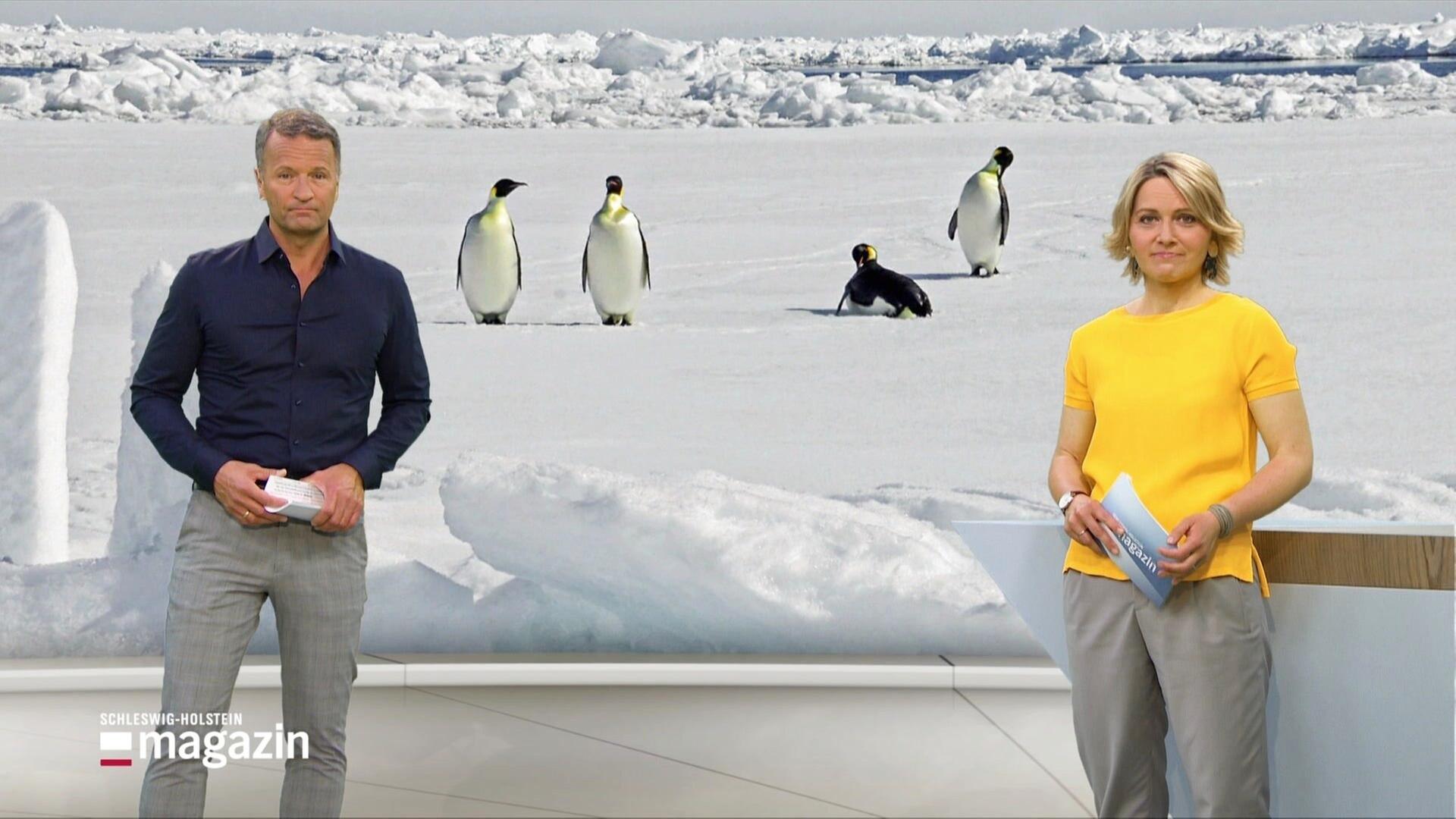 Schleswig-Holstein Magazin - 14.05.2024