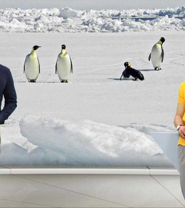 Schleswig-Holstein Magazin - 14.05.2024