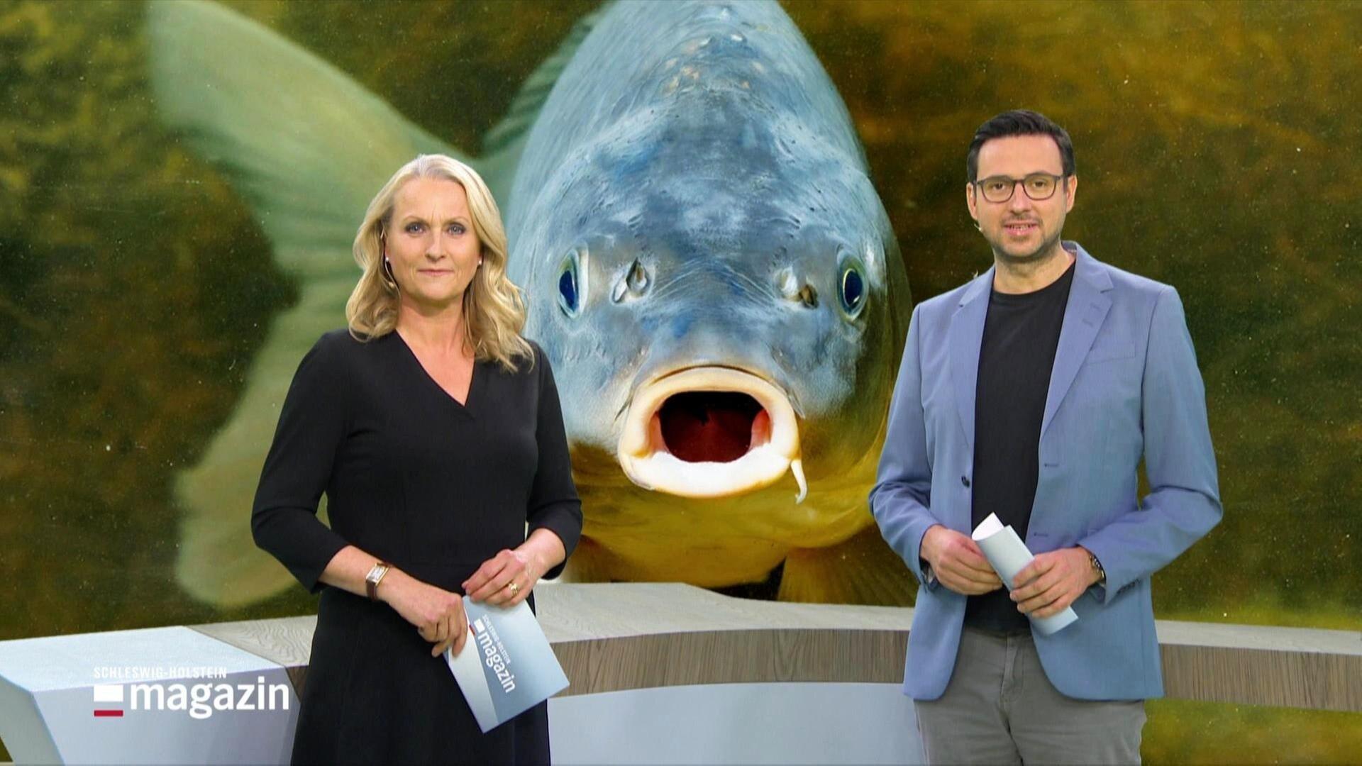 Schleswig-Holstein Magazin - 23.10.2022