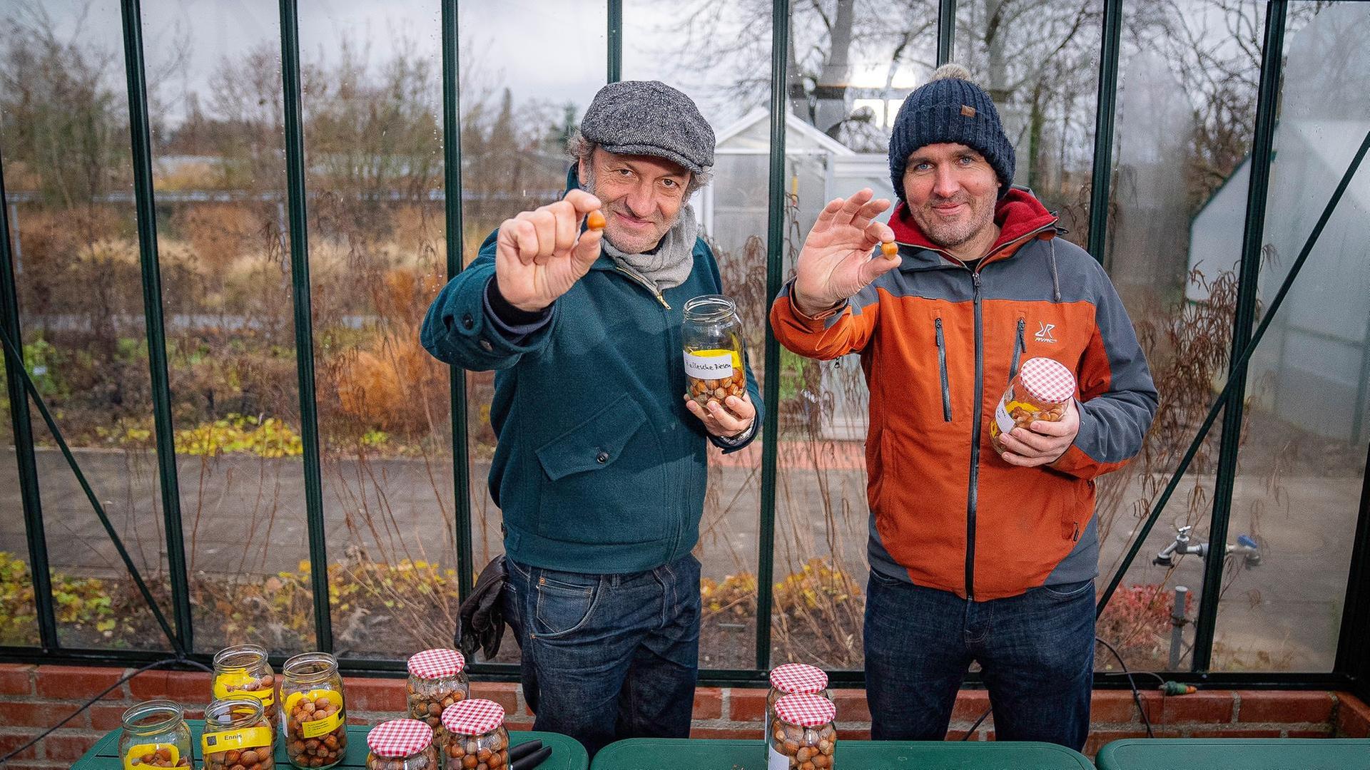 Schmidt Max knackt die Nuss