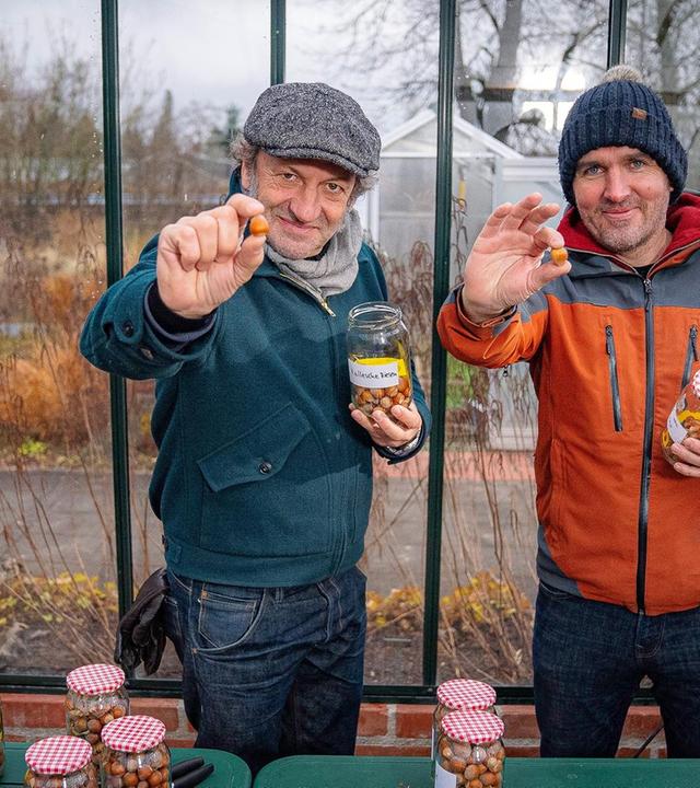 Schmidt Max knackt die Nuss