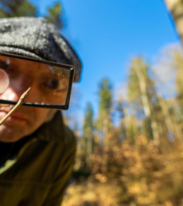 Schmidt Max und das große Sprießen