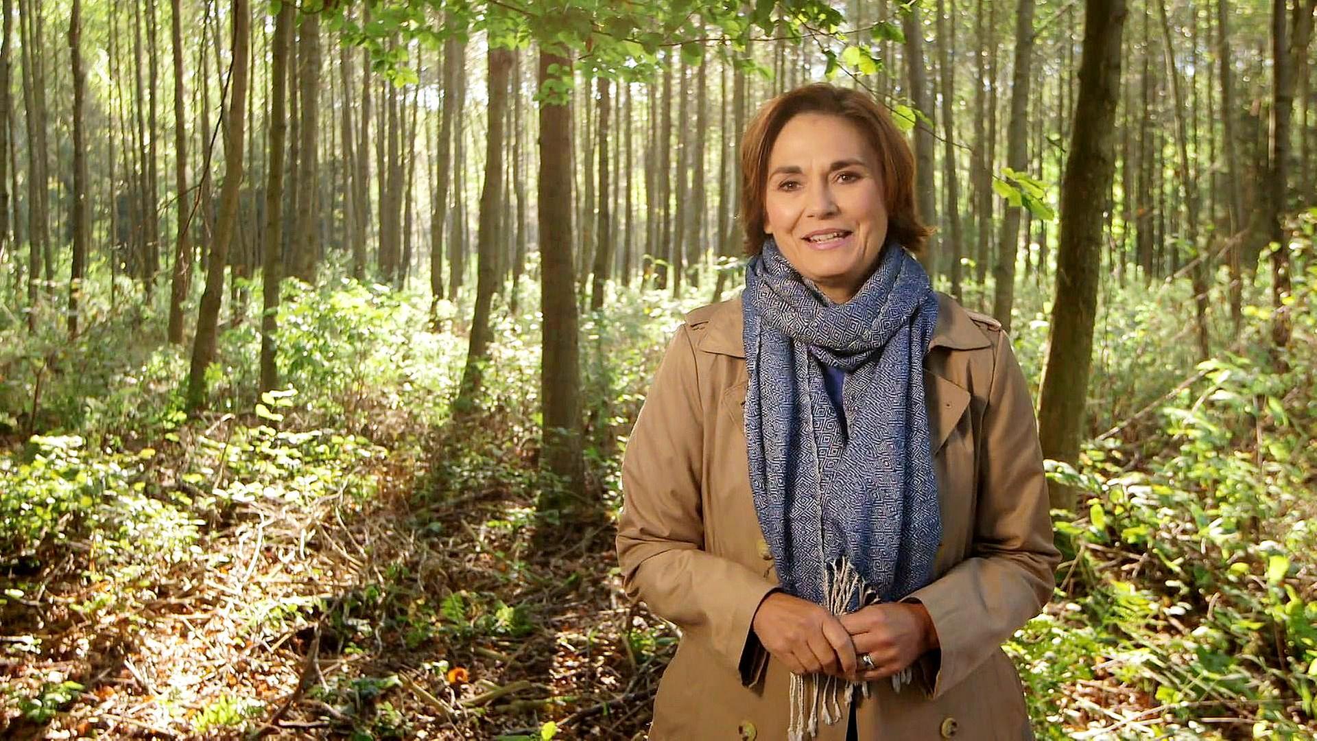 Schmock-Gastronom Florian Gleibs - Vergessene Erdställe - Wiedervernässung von Waldmooren