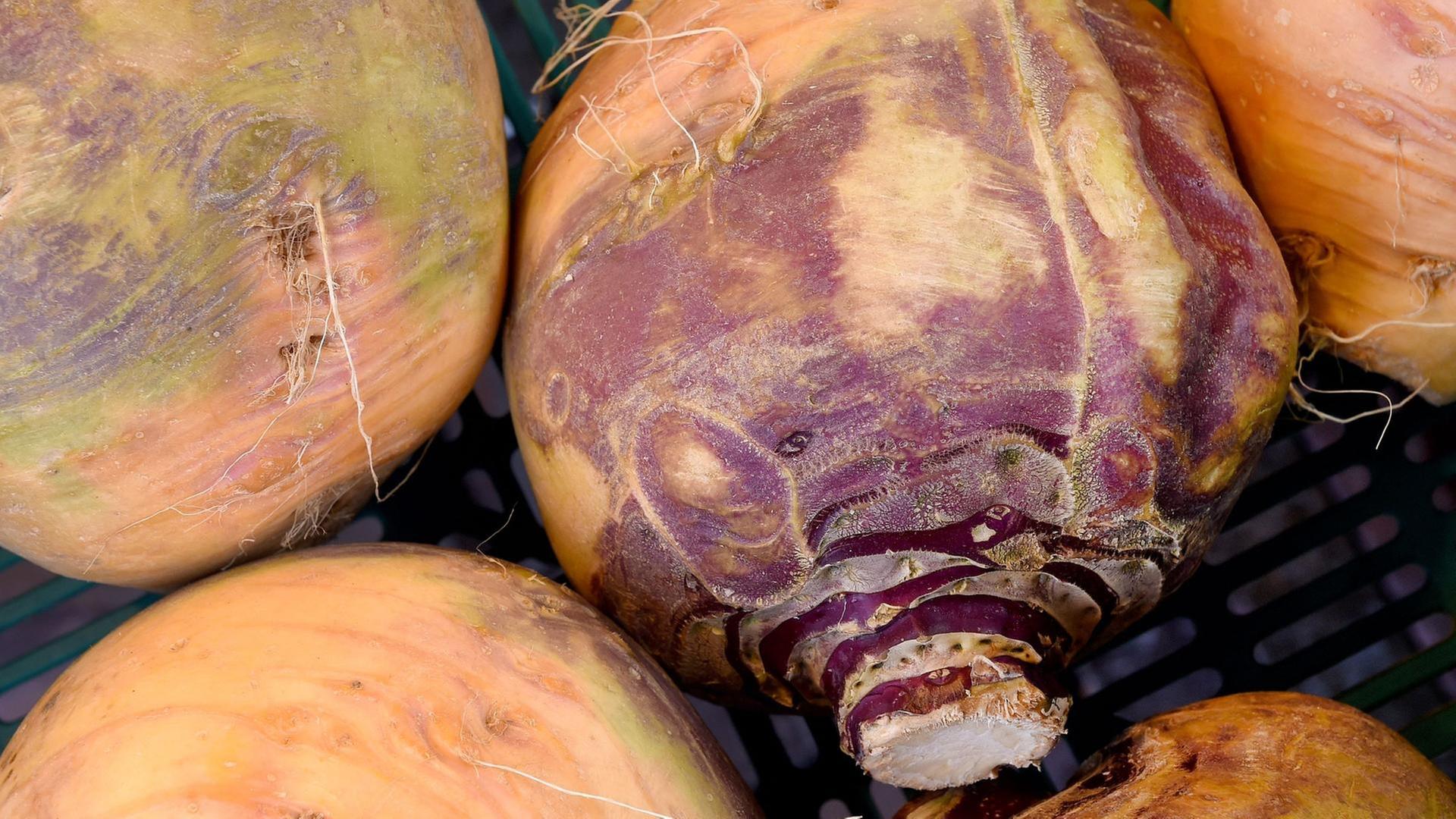 Schnittgut, 03.11.25: Steckrüben