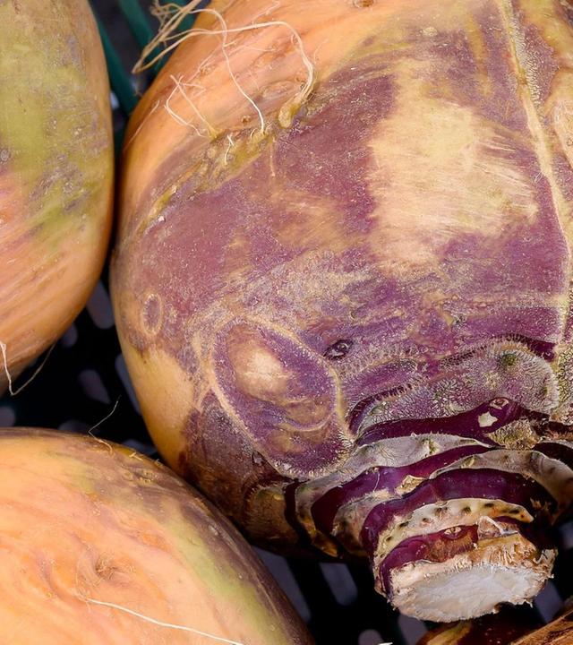 Schnittgut, 03.11.25: Steckrüben