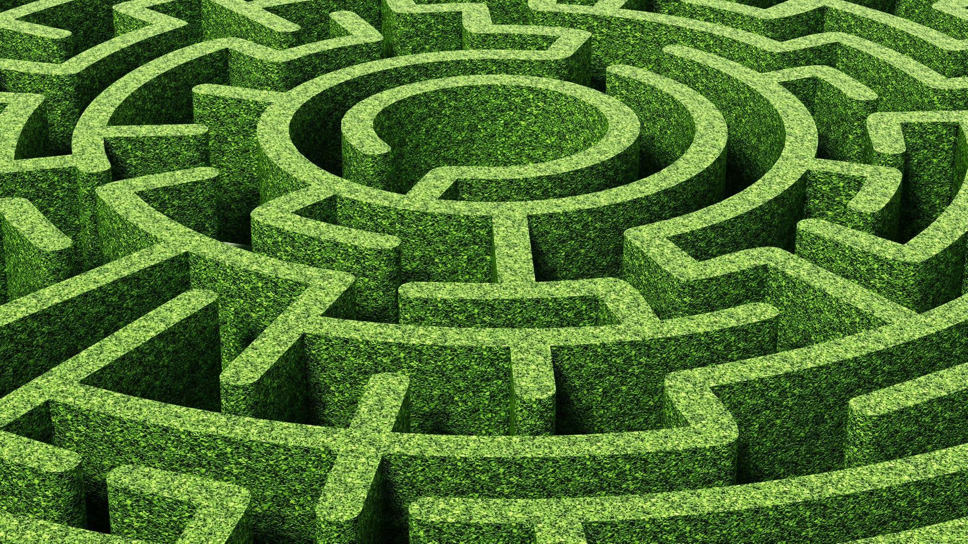 Schnittgut, 03.12.25: Formgehölze