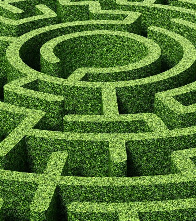 Schnittgut, 03.12.25: Formgehölze