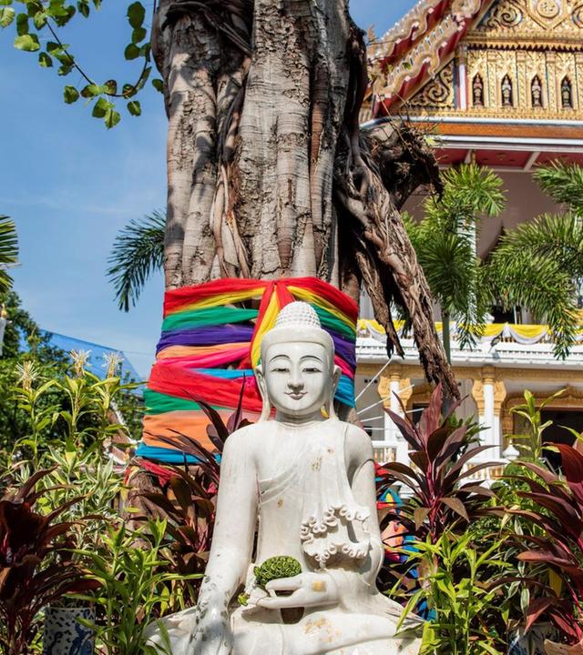 Schnittgut, 12.06.25: Asiatische Gartengestaltung