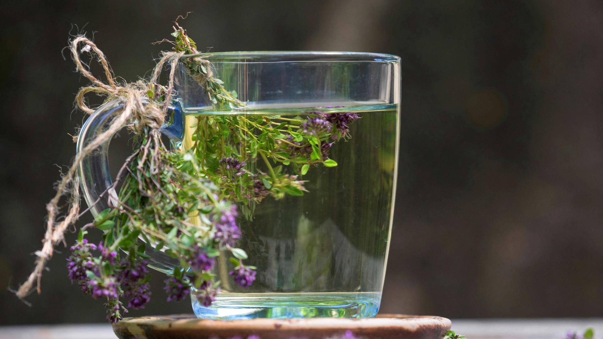 Schnittgut, 24.10.25: Pflanzliche Erkältungsmittel