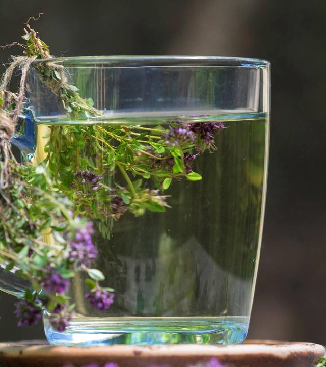 Schnittgut, 24.10.25: Pflanzliche Erkältungsmittel