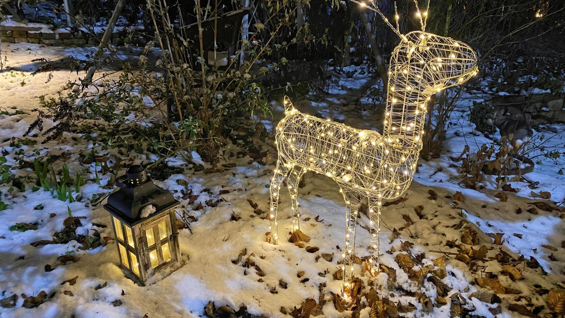 Schnittgut, 24.11.25: Adventsdeko