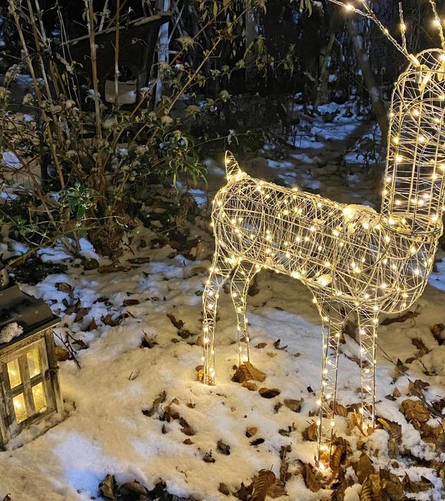 Schnittgut, 24.11.25: Adventsdeko