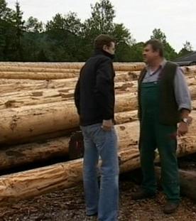 Schnittmengen von linearen und quadratischen Funktionen