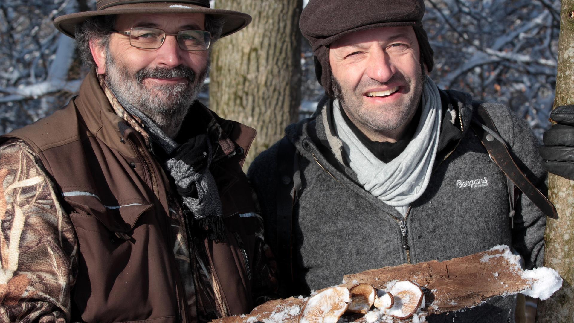 Schwammerlsuche im Winter