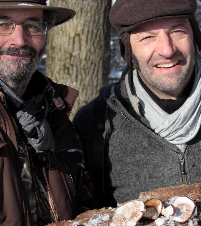 Schwammerlsuche im Winter