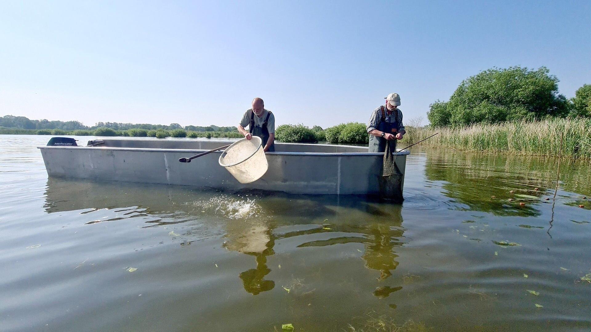 Seegeschichten vom Dümmer