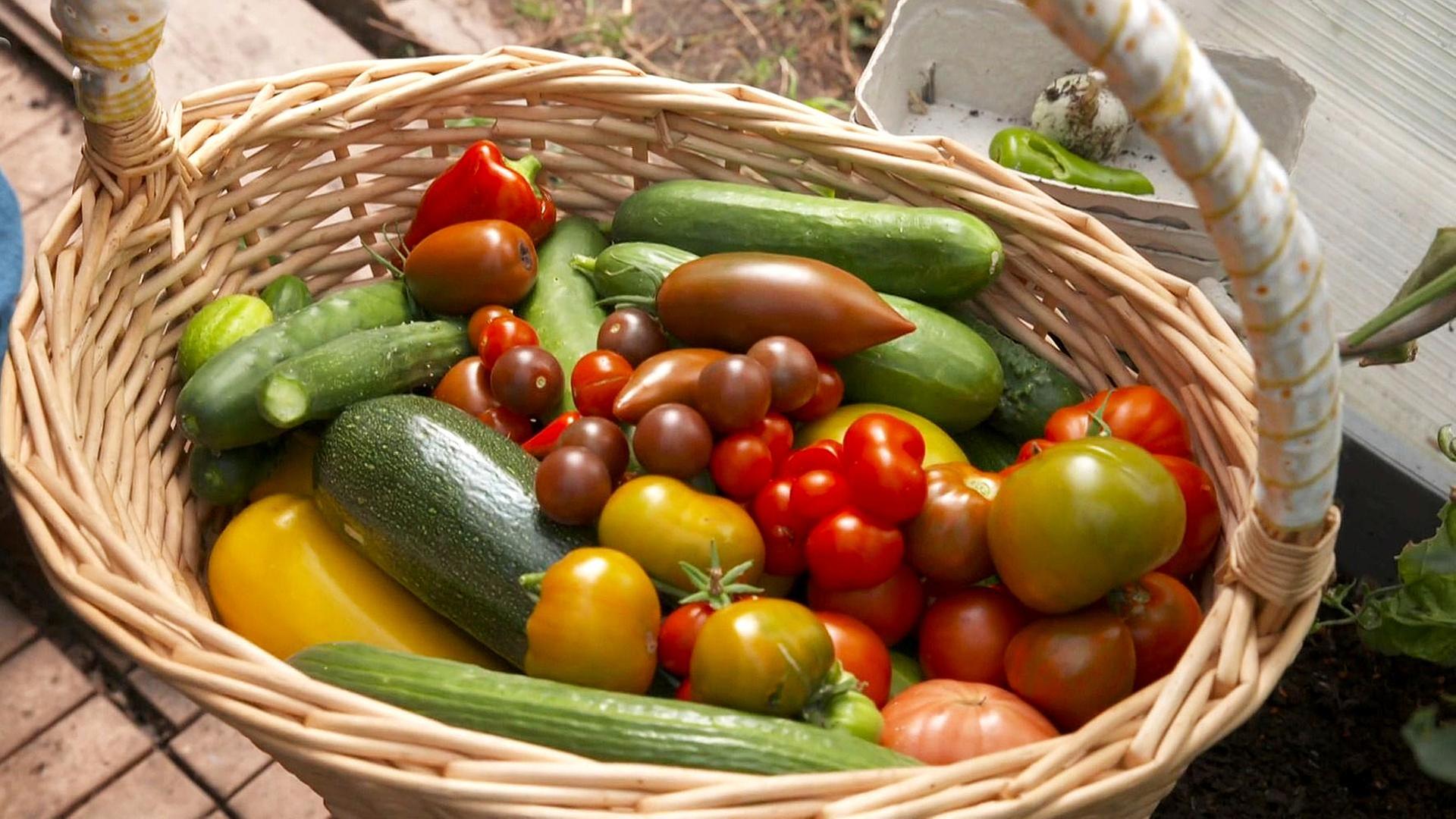 Selbergemacht: Paul Enghofer konserviert Gemüse