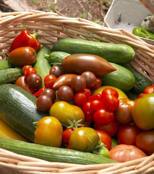 Selbergemacht: Paul Enghofer konserviert Gemüse