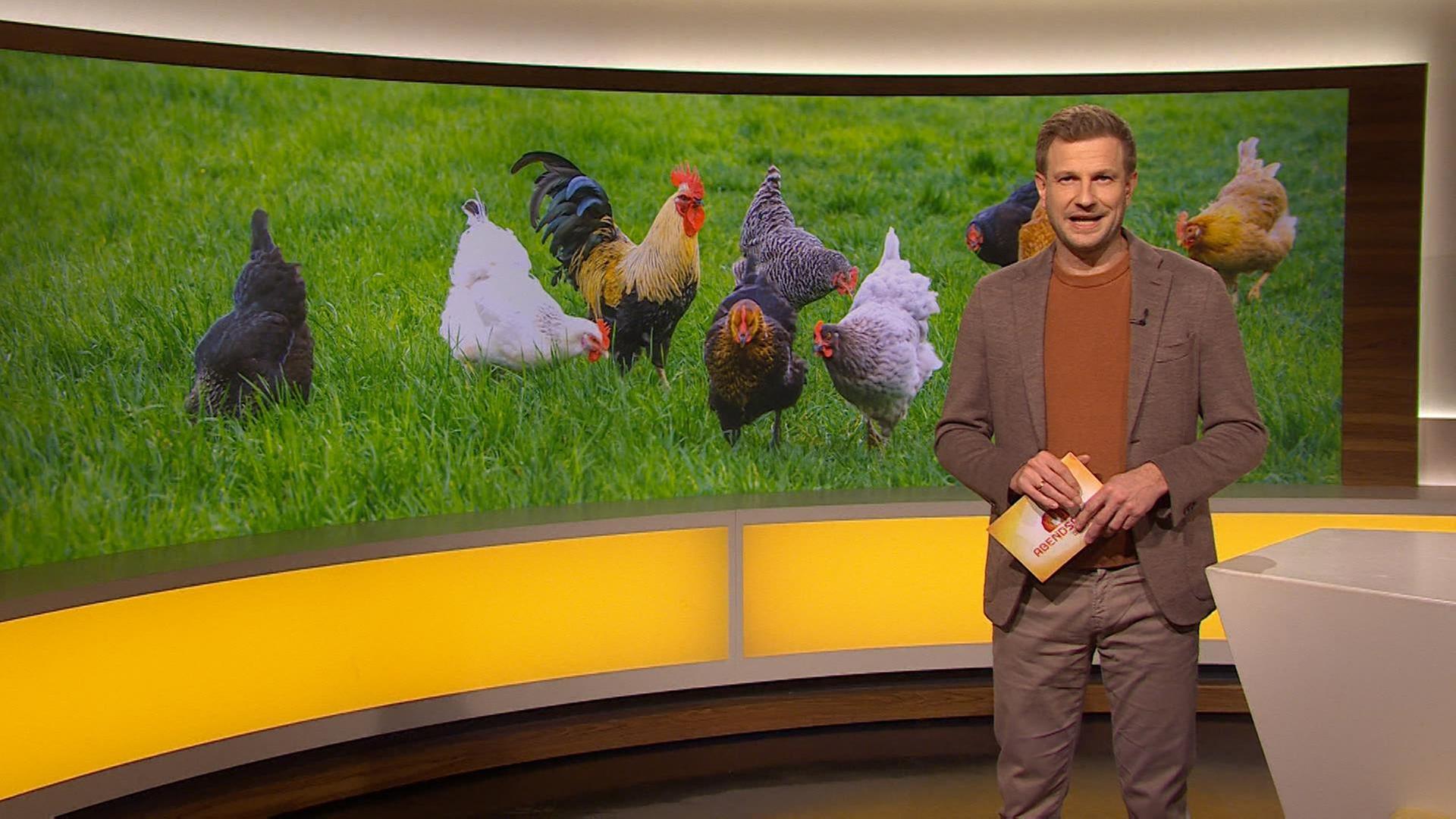 Sendung 12.12.2024 · Das Wichtigste aus Südbayern