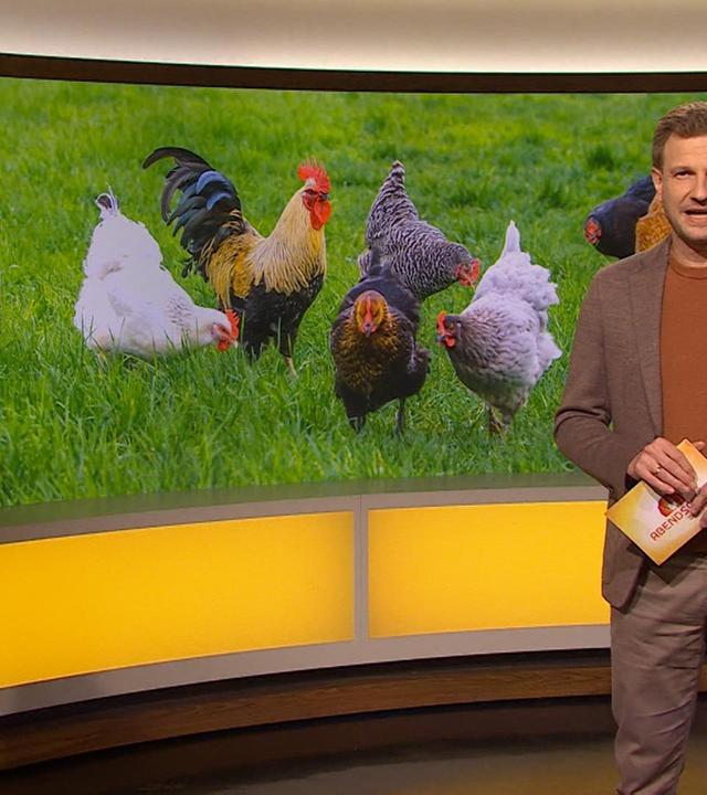 Sendung 12.12.2024 · Das Wichtigste aus Südbayern