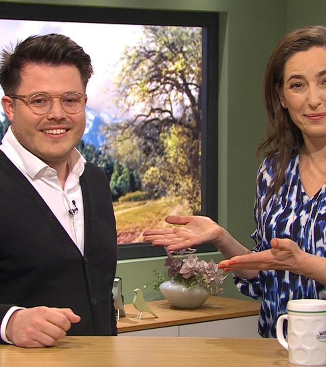 Sendung vom Dienstag, 11.03.2025