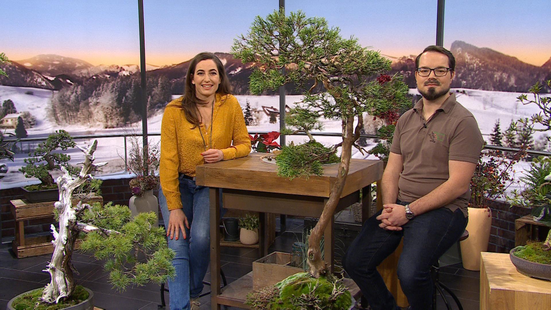 Sendung vom Mittwoch, 12.02.2025