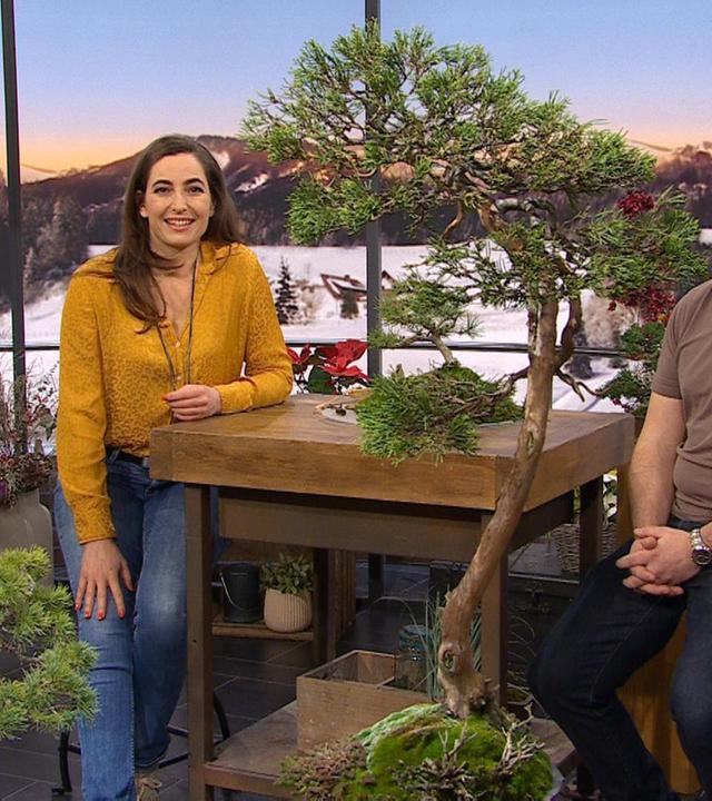 Sendung vom Mittwoch, 12.02.2025