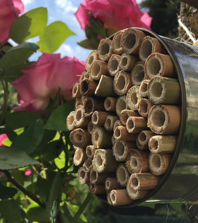 So baust du ein Bienenhotel