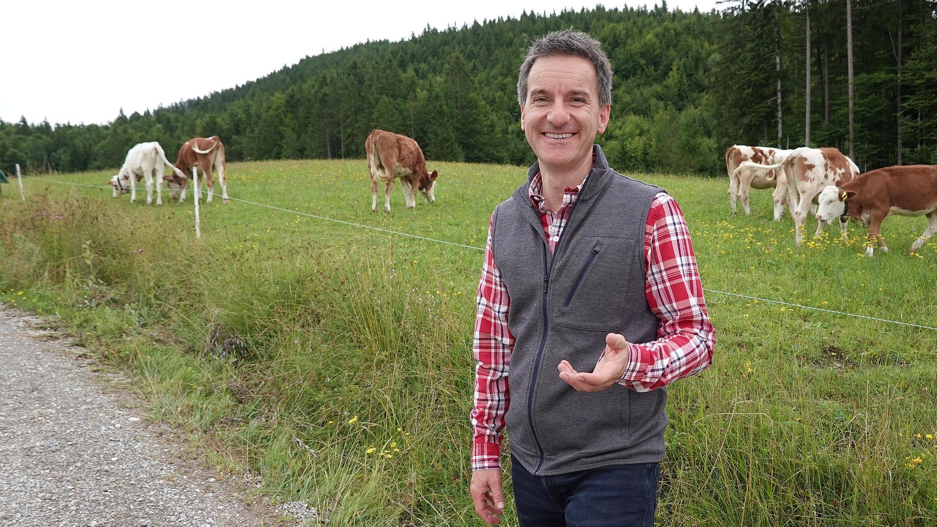 Sommer auf der Ziegenalm, exotische Yaks und mehr