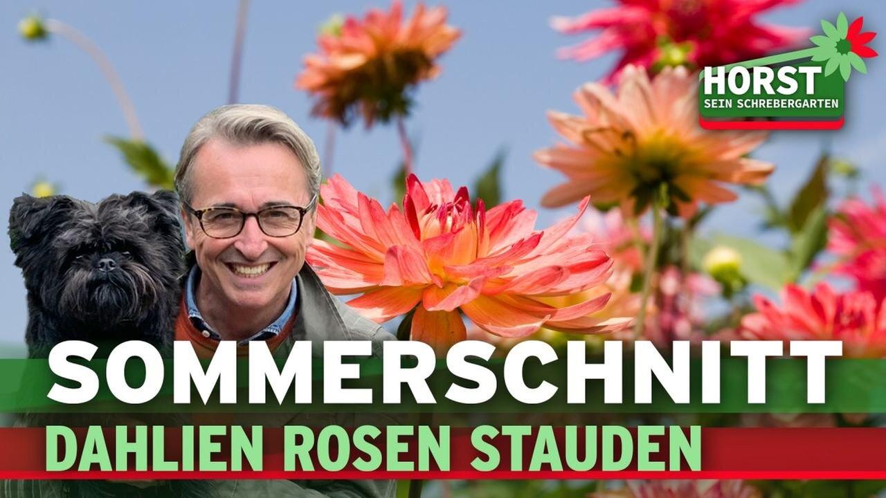 Sommerschnitt: Dahlien, Rosen und Stauden