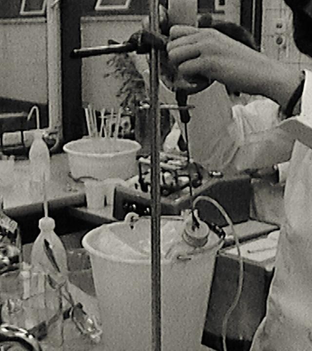 Spezialklinik für Hämophilie in den Niederlanden