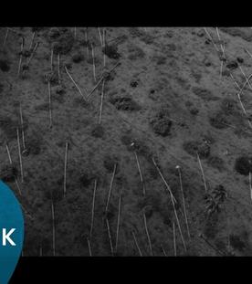 SR Talk zu "Yumi - the whole world" (Dok)