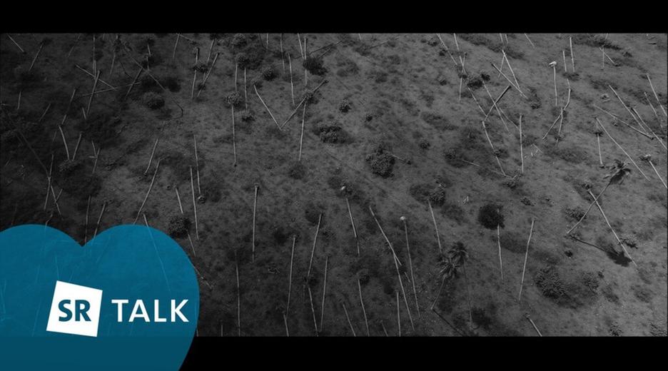 SR Talk zu "Yumi - the whole world" (Dok)