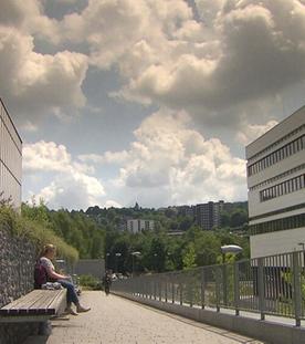 Studieren in Wuppertal, Hamburg und Lüneburg