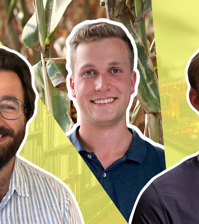 Studium: Germanistik, Landwirtschaft, Mechatronik