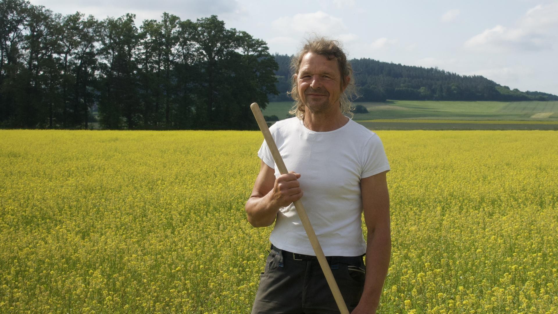 Süß oder scharf? · Kochgeschichten vom Senf