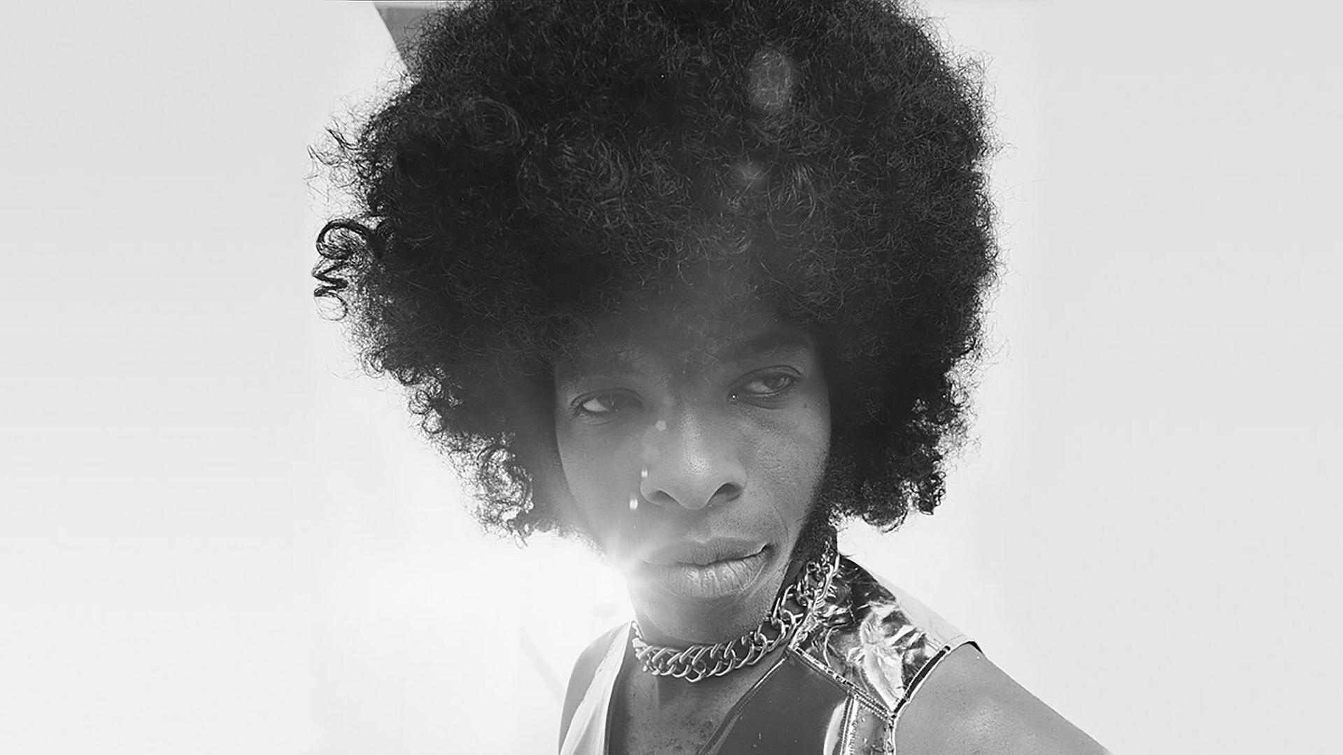 Swing in mit Sly & The Family Stone in concert