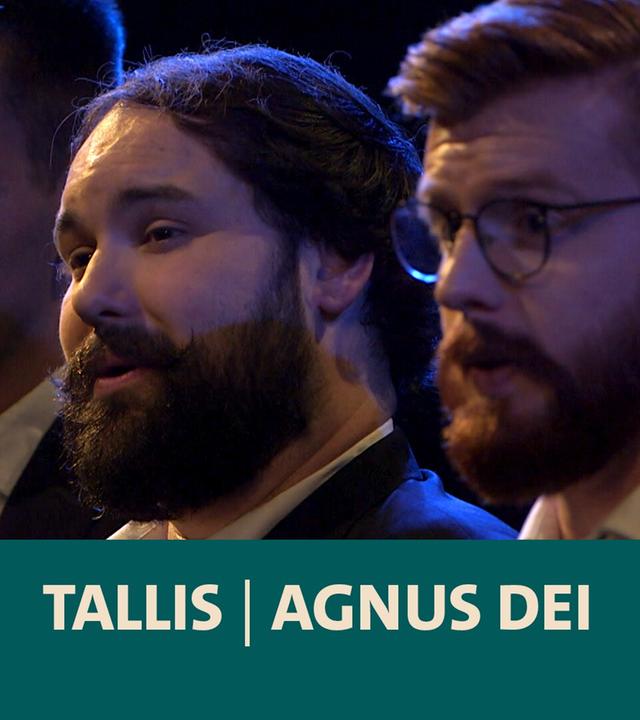 Tallis · Agnus Dei · Sonat Vox · Justus Merkel · BR-KLASSIK