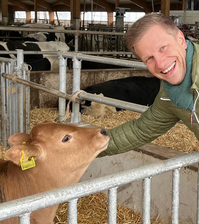 Teure Ochsenmast - Verbotene Tiertransporte - Erdnüsse aus Schwaben