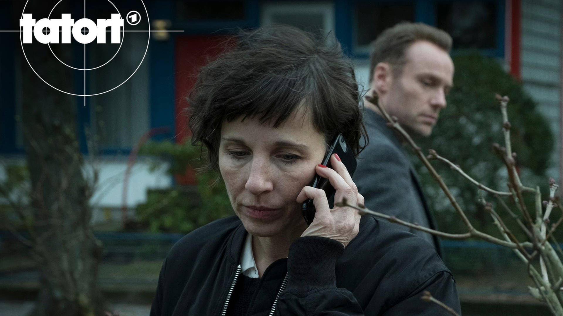 Tiere der Großstadt